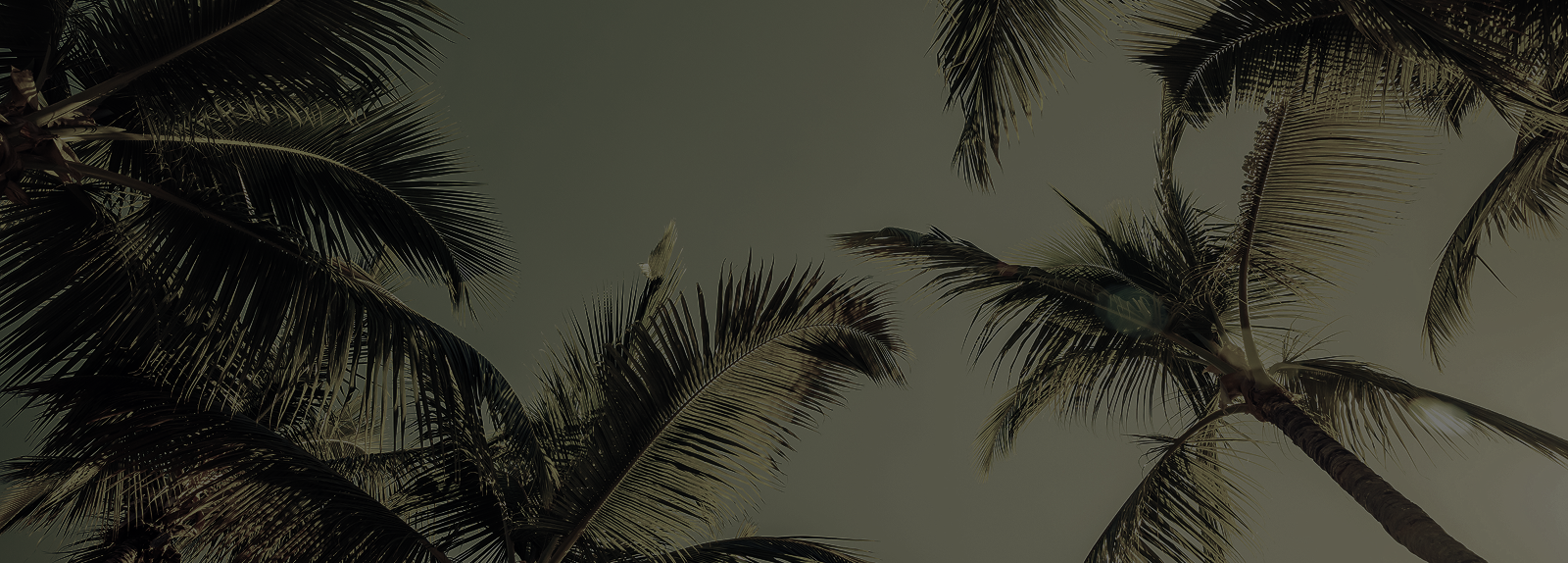 Footer  Background Image